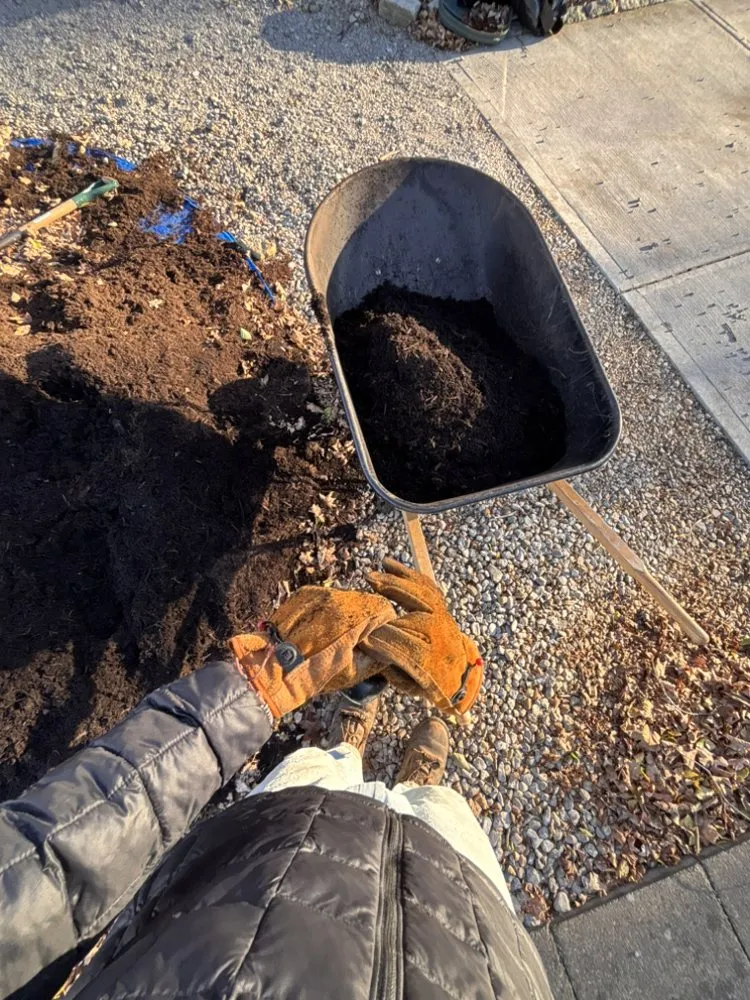 Trusted yard cleanup service in Lawrenceburg, IN by C & J Development