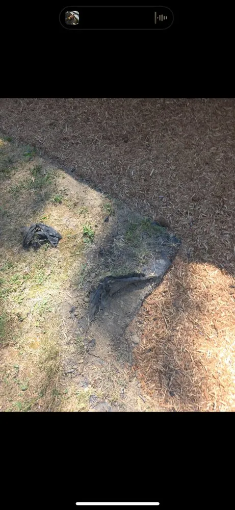 Affordable landscape design experts serving Lawrenceburg, IN - C & J Development