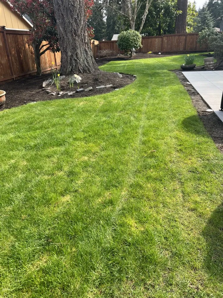 Custom yard maintenance in Puyallup, WA - C & J General Landscaping