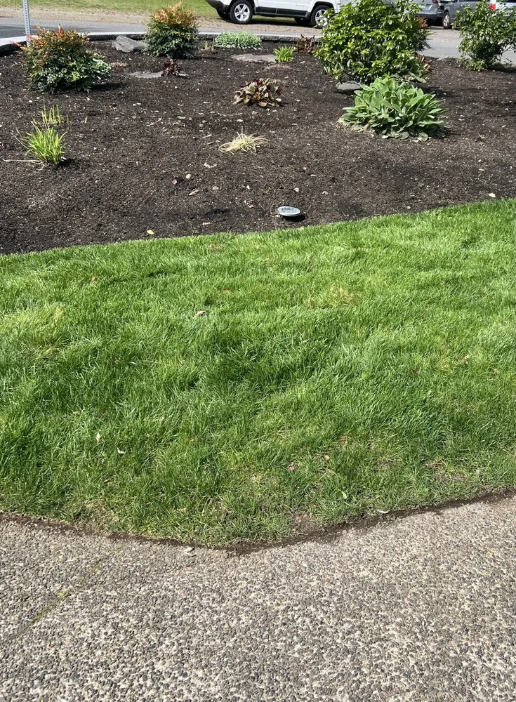 Trusted lawn care service experts serving Puyallup, WA - C & J General Landscaping