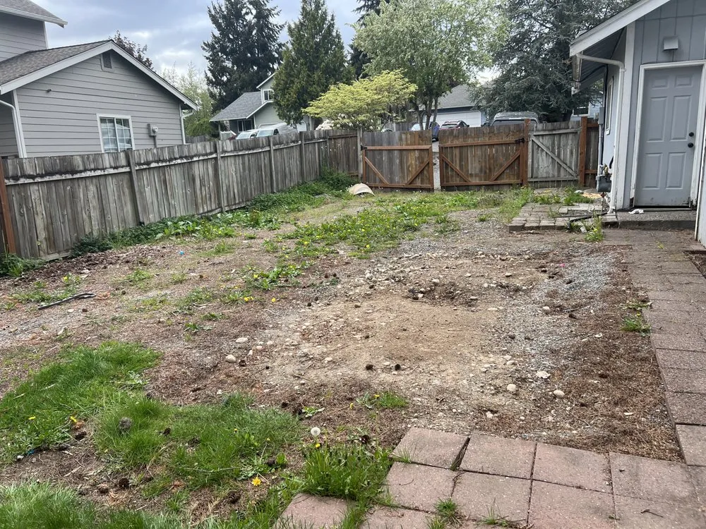 Professional yard cleanup service with custom design across Puyallup, WA - C & J General Landscaping