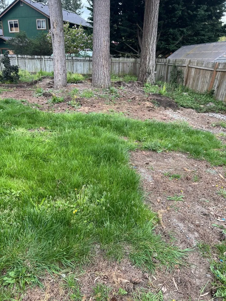 Local lawn mowing service in Puyallup, WA by C & J General Landscaping