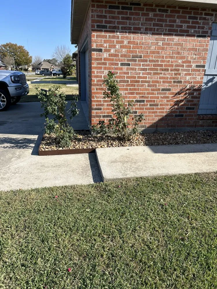 Local lawn care service experts serving Carencro, LA - C & J Lawn Care