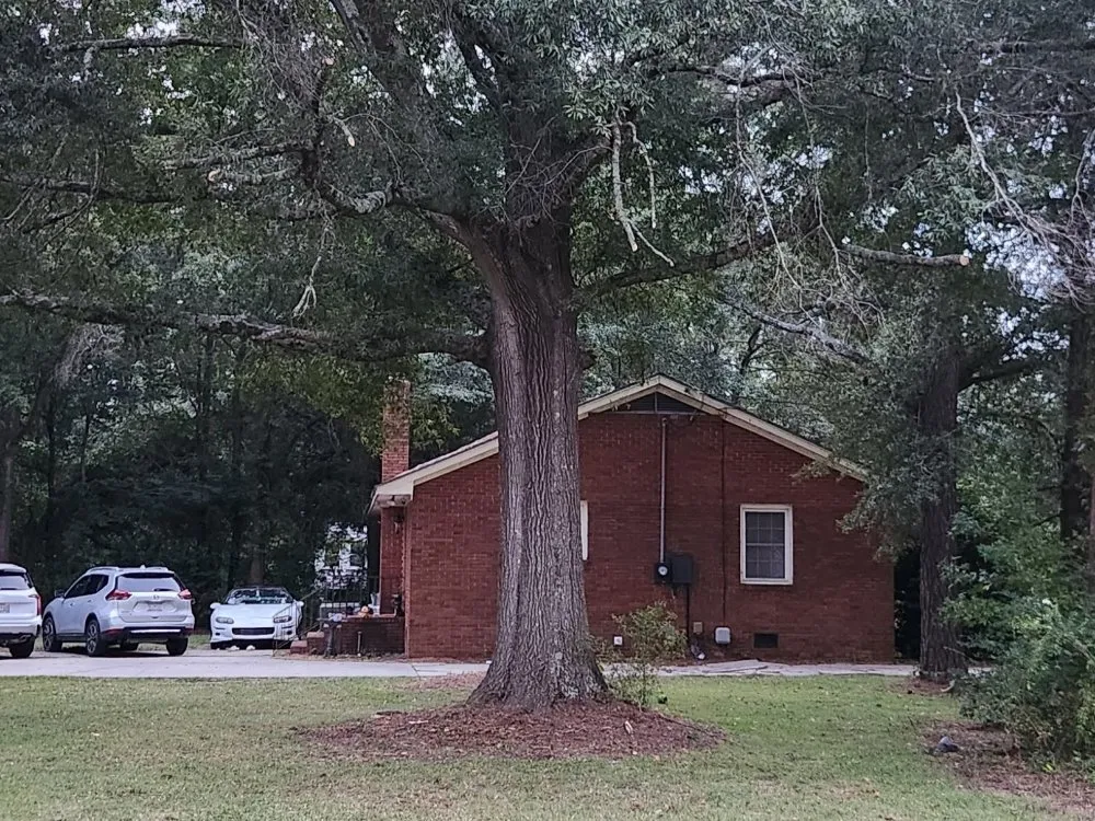 Professional lawn mowing service in Darlington, SC - C & J Lawn Care