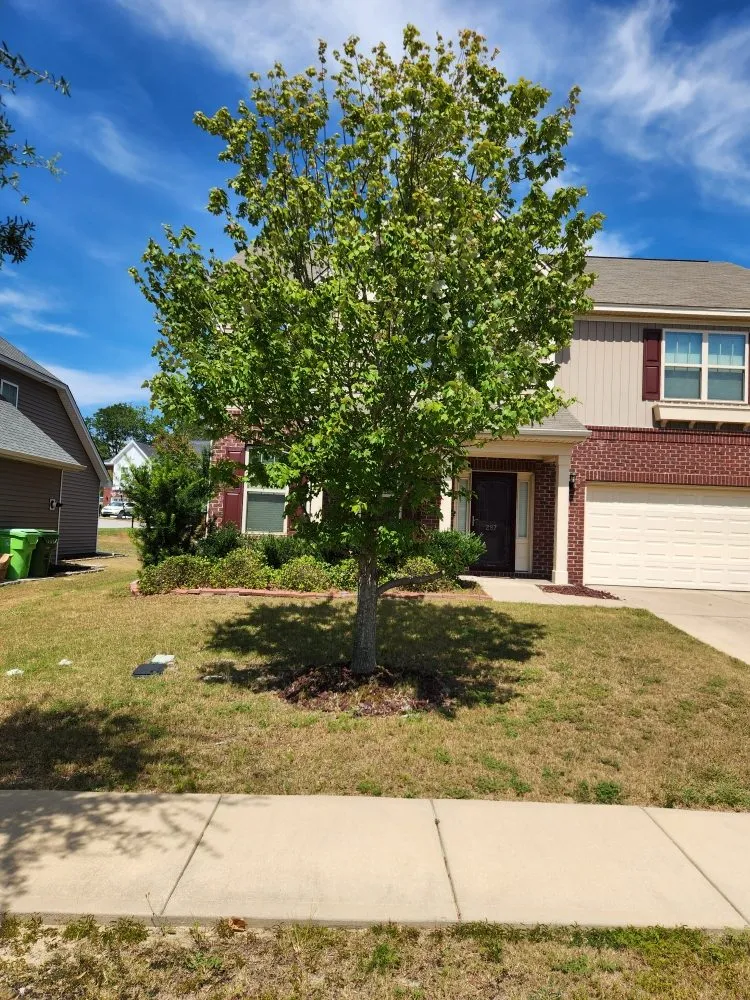 Professional lawn care service in Darlington, SC - C & J Lawn Care