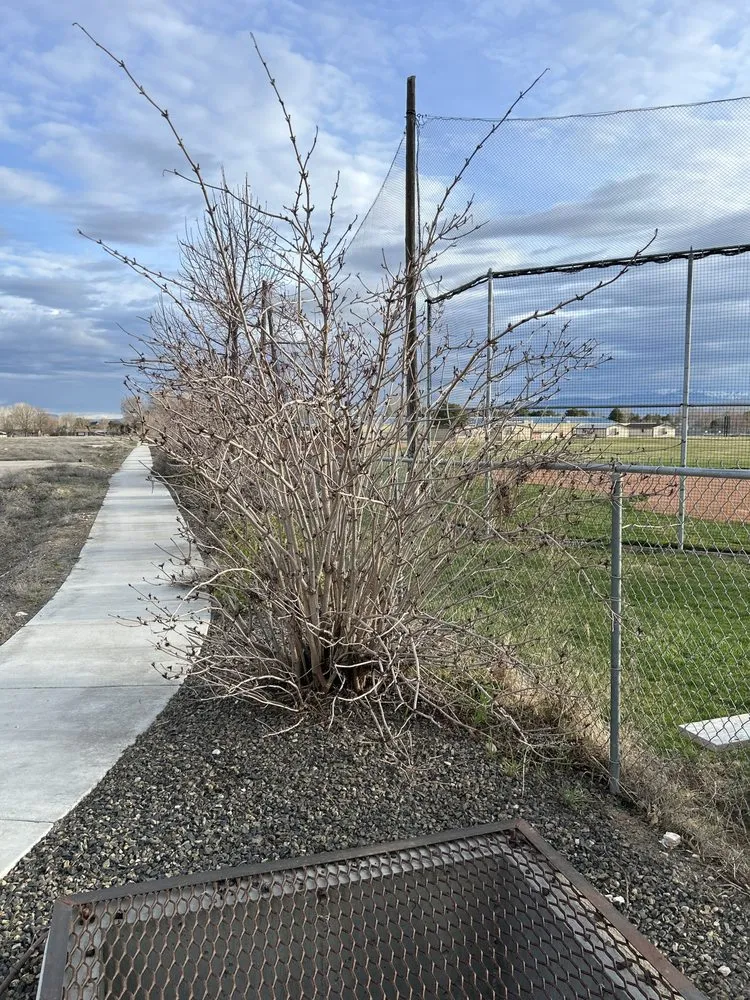 Custom garden landscaping for outdoor upgrades in Nampa, ID by C & J Lawn Care