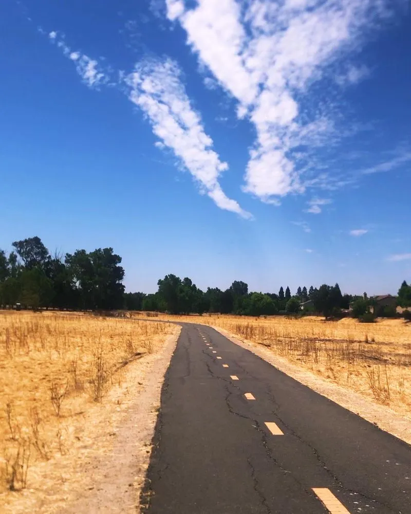 Affordable landscape installation for homes across Sacramento, CA - C & J Lawn Maintenance