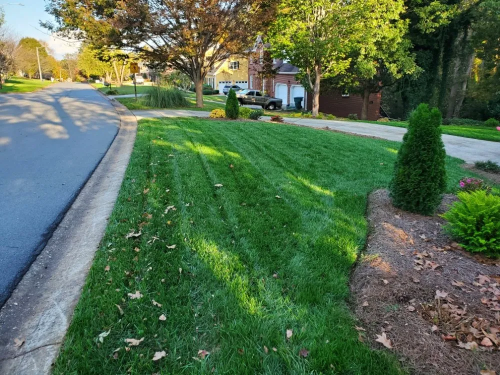 Professional landscaping services experts serving Fort Mill, SC - C & J Lawn Pro's