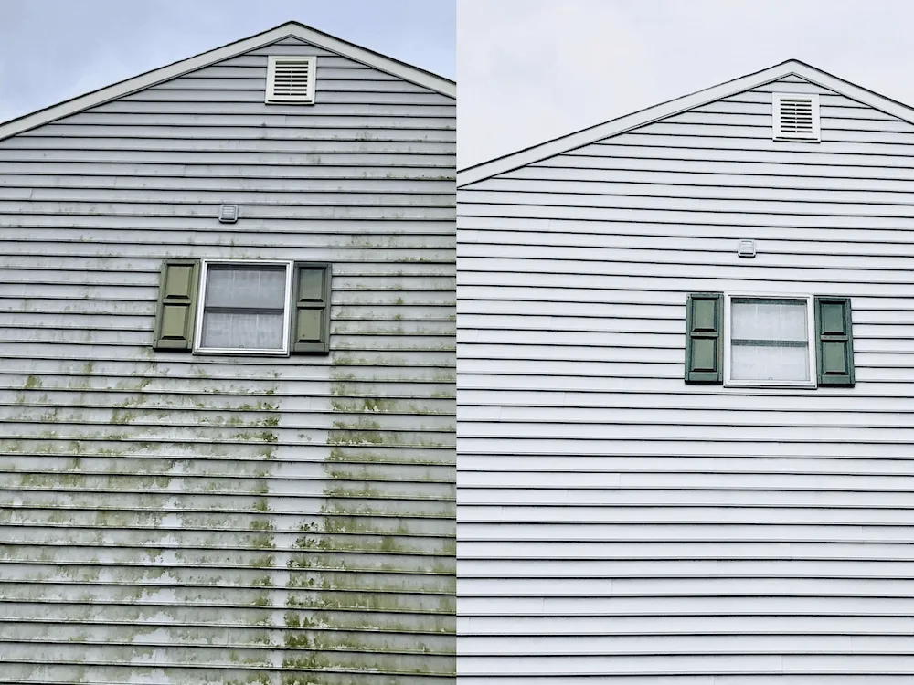 Reliable yard cleanup service in Lowell, AR by C & J Services