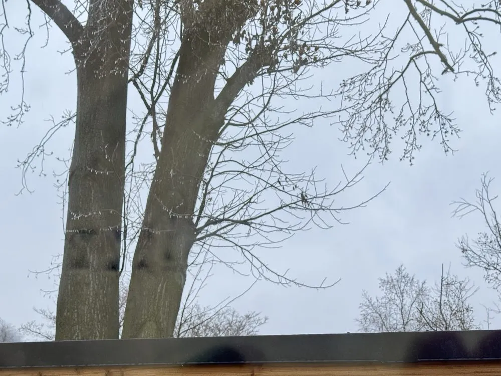 Trusted garden landscaping in Sikeston, MO by C & J Tree & Lawn Service