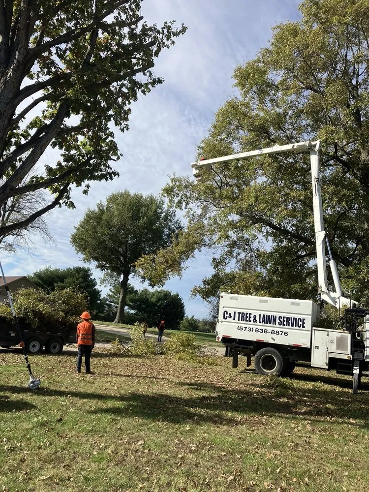 Affordable lawn care service for residential properties in Sikeston, MO by C & J Tree & Lawn Service