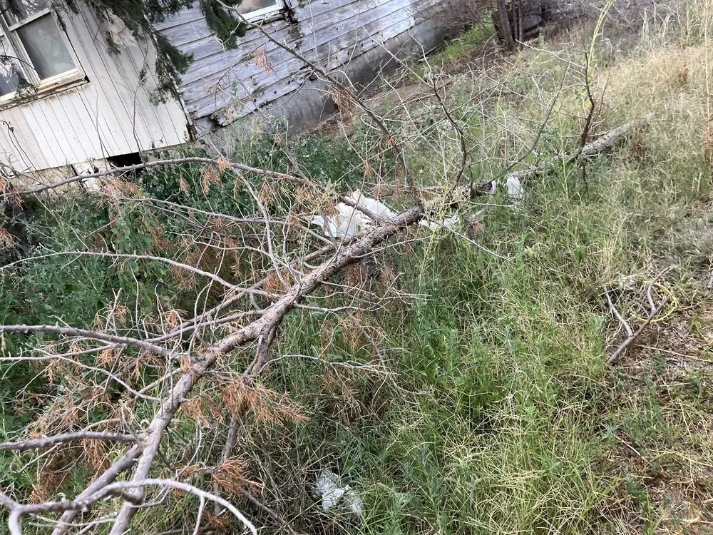 Top-rated yard cleanup service in Lubbock, TX - C & J’s Junk Removal Landscaping