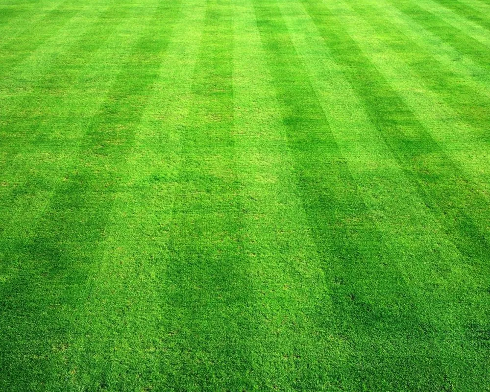 Trusted landscape design experts serving Oakdale, MN - C & J's Lawn Care