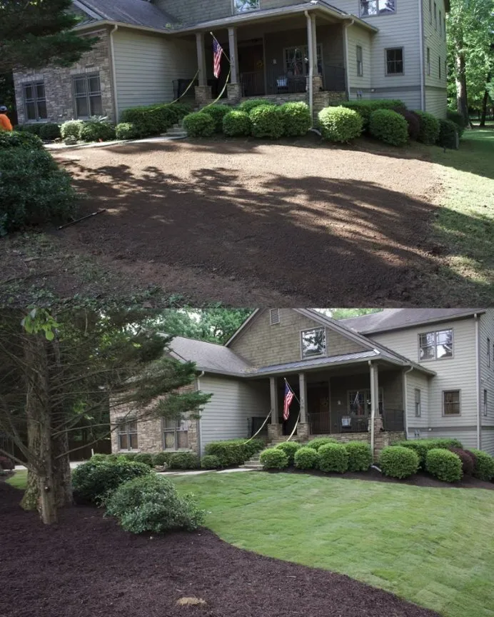 Custom yard cleanup service for year-round maintenance across Ash, NC - C & J's Lawn Care Services