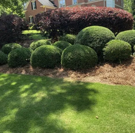 Expert yard cleanup service in Ash, NC - C & J's Lawn Care Services