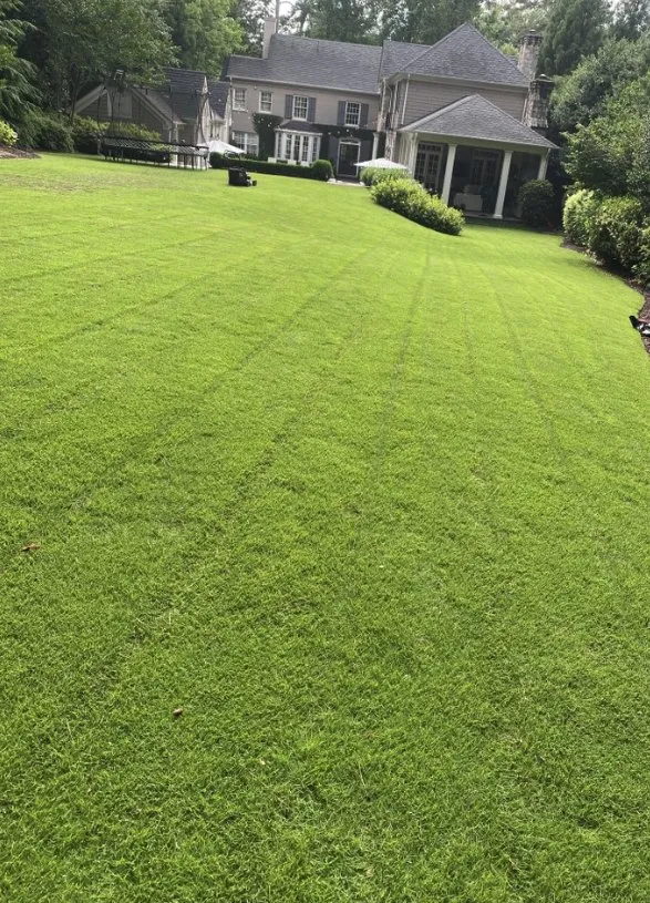 Custom yard cleanup service with custom design in Ash, NC by C & J's Lawn Care Services