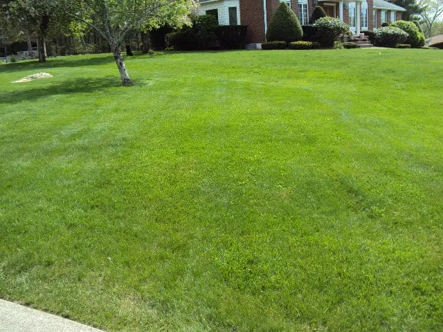 Trusted outdoor landscaping for year-round maintenance in Peabody, MA by C & K Landscaping & Hardscape