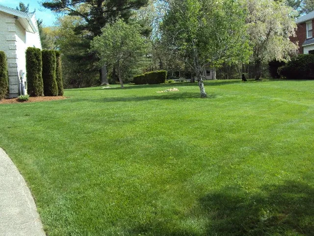 Top-rated outdoor landscaping in Peabody, MA - C & K Landscaping & Hardscape