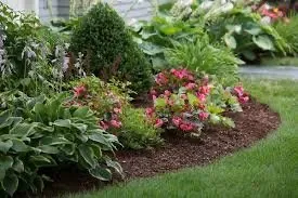 Professional yard cleanup service in Swanton, OH by C & K Landscaping