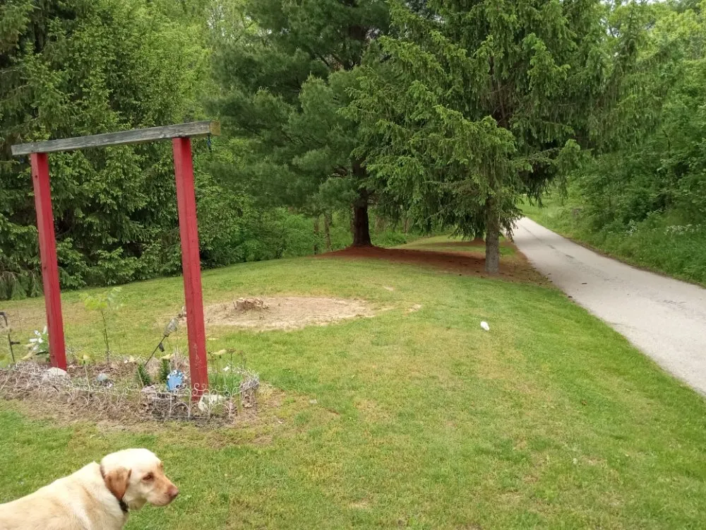 Professional residential landscaping experts serving Jasonville, IN - C & K Lawn Care and Handyman