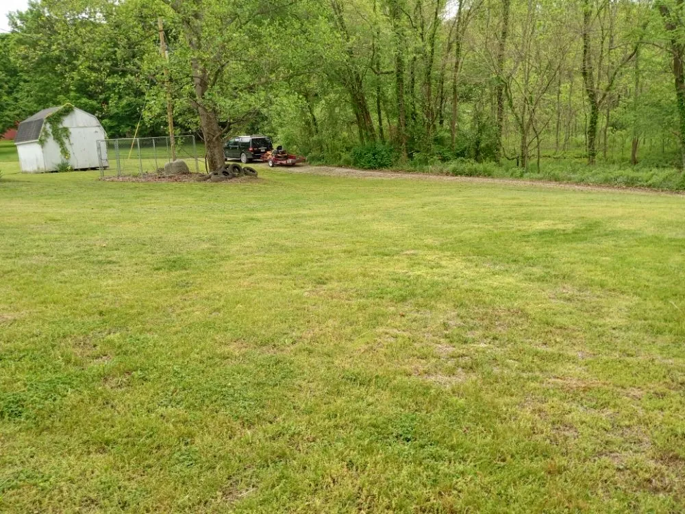 Custom yard cleanup service in Jasonville, IN by C & K Lawn Care and Handyman