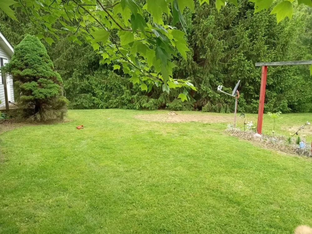 Reliable lawn mowing service experts serving Jasonville, IN - C & K Lawn Care and Handyman