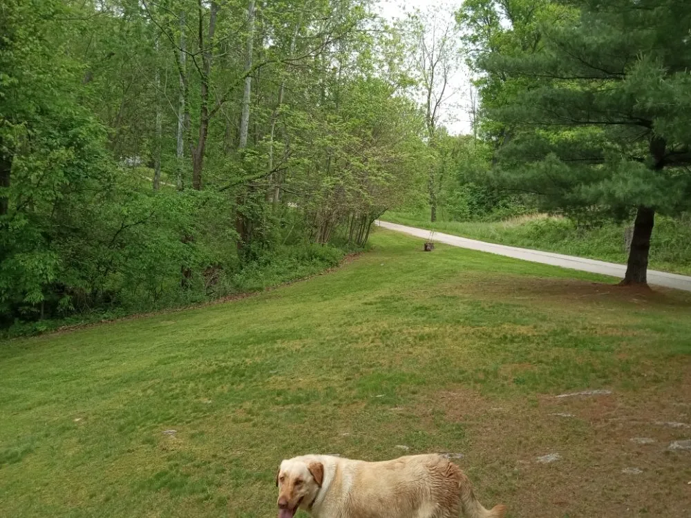 Reliable landscape installation experts serving Jasonville, IN - C & K Lawn Care and Handyman