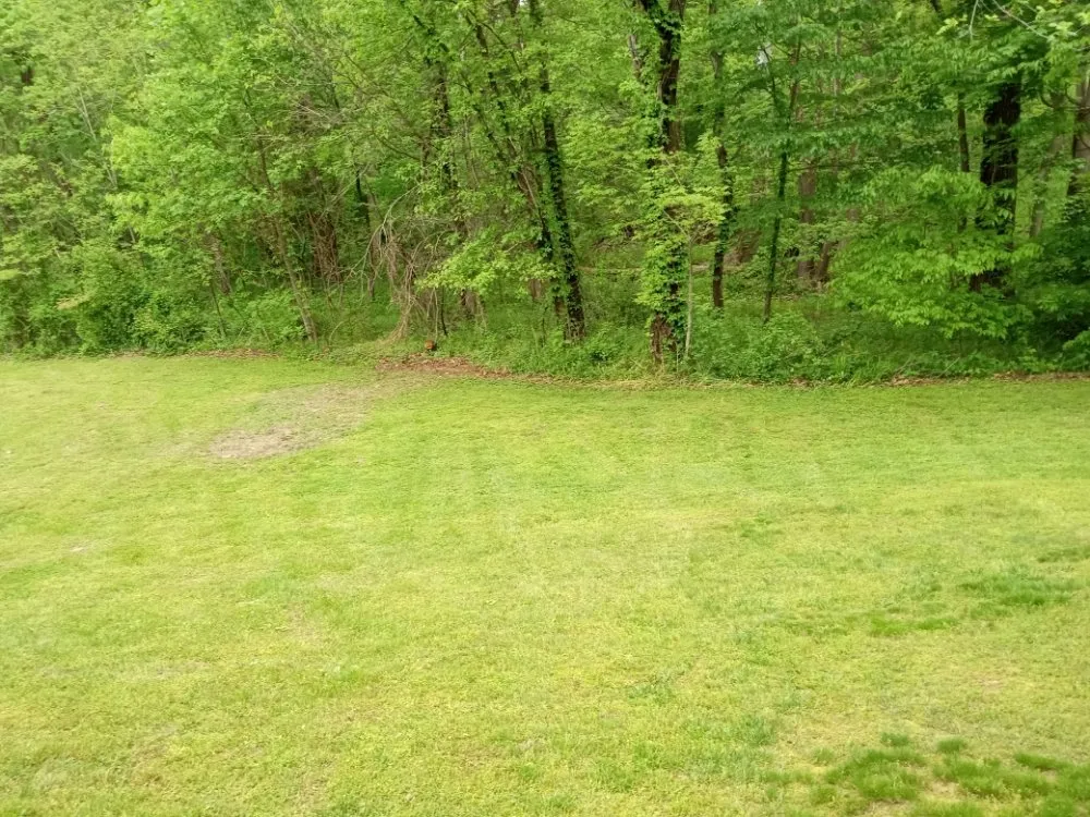 Local lawn mowing service for outdoor upgrades across Jasonville, IN - C & K Lawn Care and Handyman