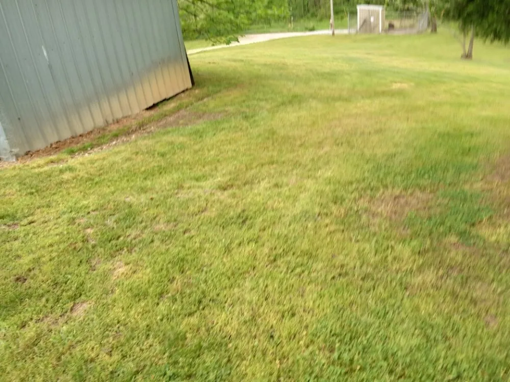 Local yard cleanup service for outdoor upgrades in Jasonville, IN by C & K Lawn Care and Handyman