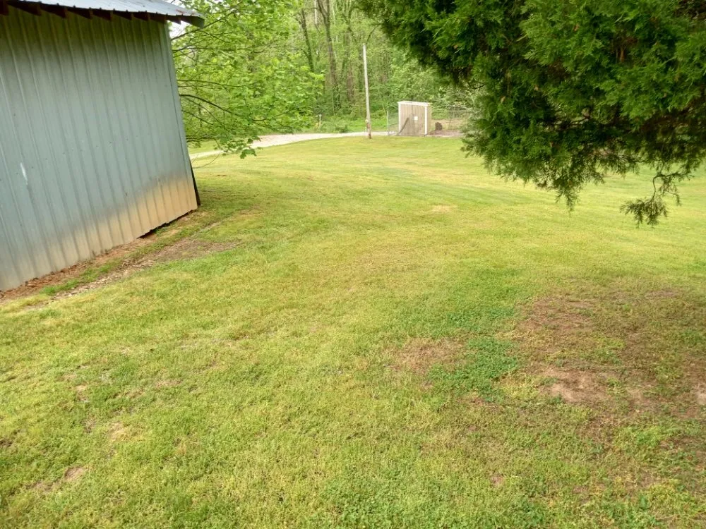 Affordable lawn care service experts serving Jasonville, IN - C & K Lawn Care and Handyman