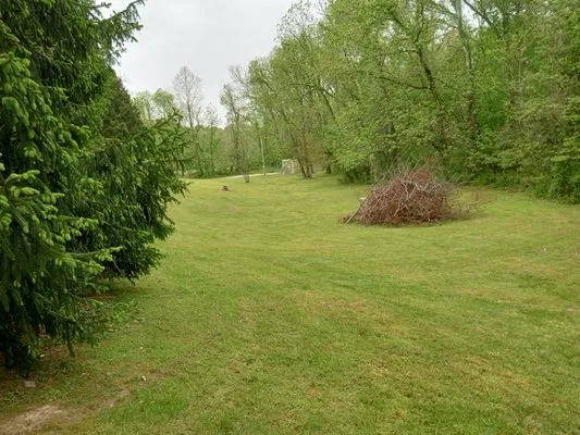 C & K Lawn Care and Handyman