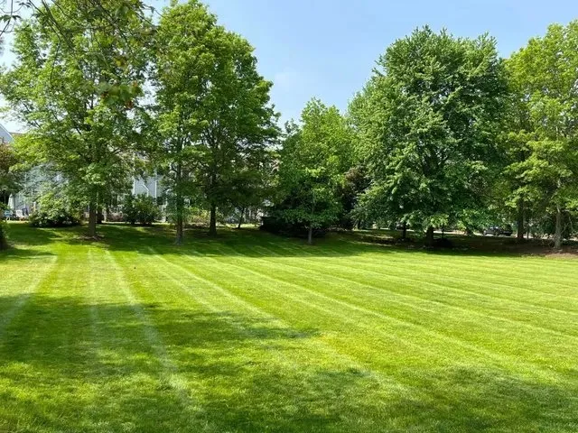 Expert outdoor landscaping in Fredericksburg, VA - C & K Lawn Care