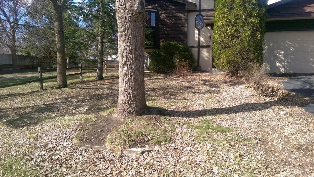 Professional lawn mowing service for beautiful yards in Maple Grove, MN by C & K Lawn Services LLC