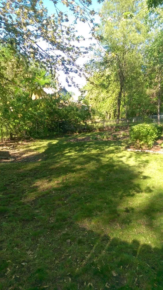 Expert outdoor landscaping experts serving Maple Grove, MN - C & K Lawn Services LLC