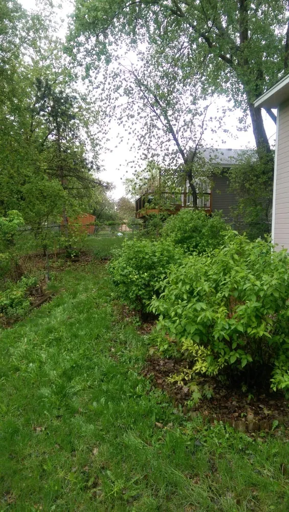 Affordable lawn care service experts serving Maple Grove, MN - C & K Lawn Services LLC