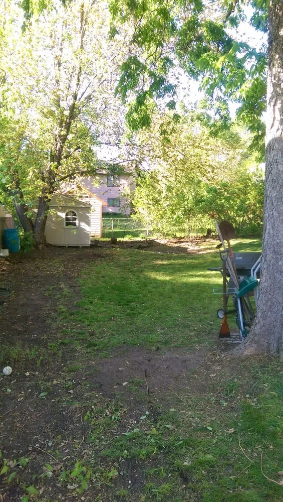 Professional yard maintenance in Maple Grove, MN by C & K Lawn Services LLC