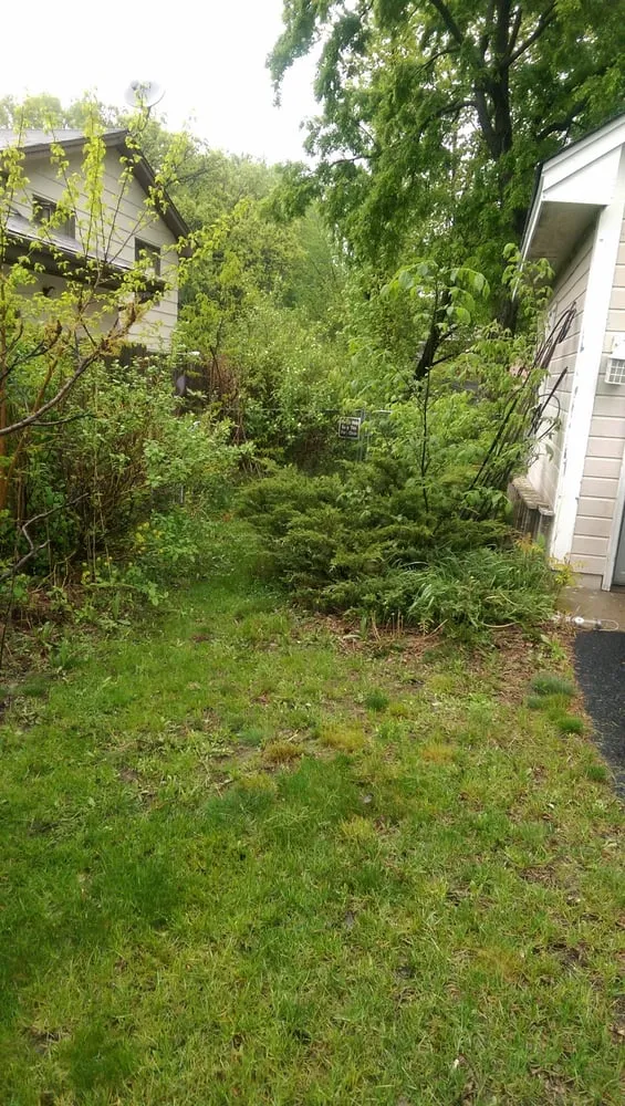 Top-rated yard cleanup service near you in Maple Grove, MN by C & K Lawn Services LLC