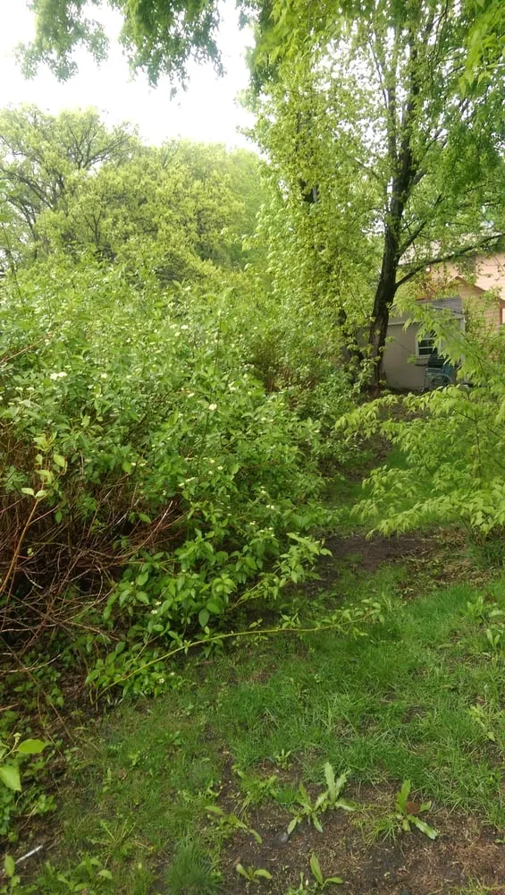 Trusted lawn mowing service for homes in Maple Grove, MN by C & K Lawn Services LLC