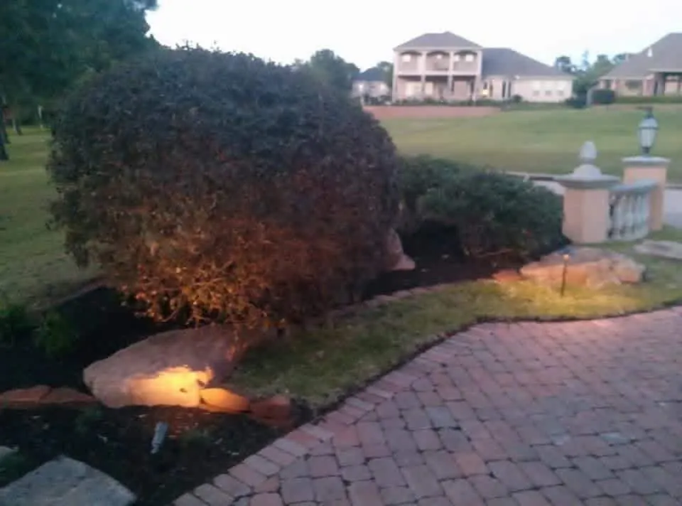 Professional yard maintenance in Willis, TX - C & L Contractor’s