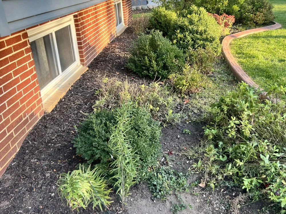 Trusted landscape installation in Waukesha, WI - C & L Family Lawncare