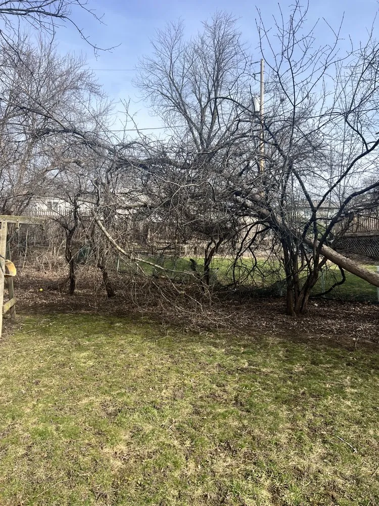 Local yard cleanup service in Waukesha, WI - C & L Family Lawncare