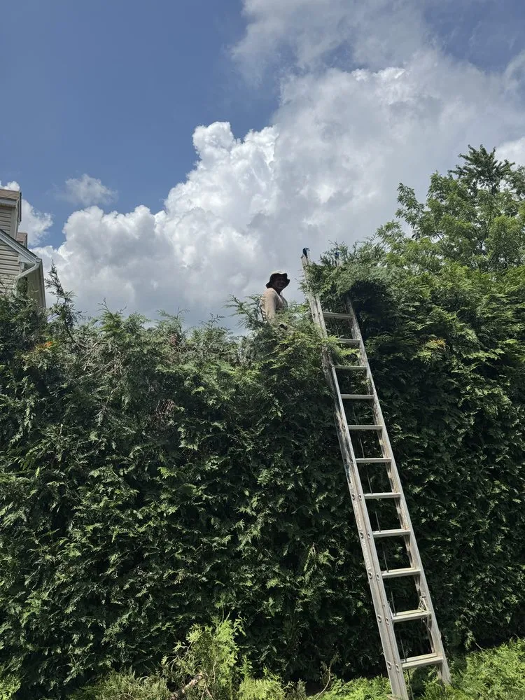 Custom landscape installation with custom design across Pottstown, PA - C & L Landscapes And Construction