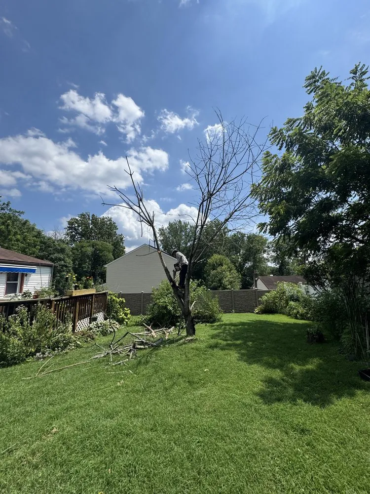 Trusted residential landscaping in Pottstown, PA - C & L Landscapes And Construction