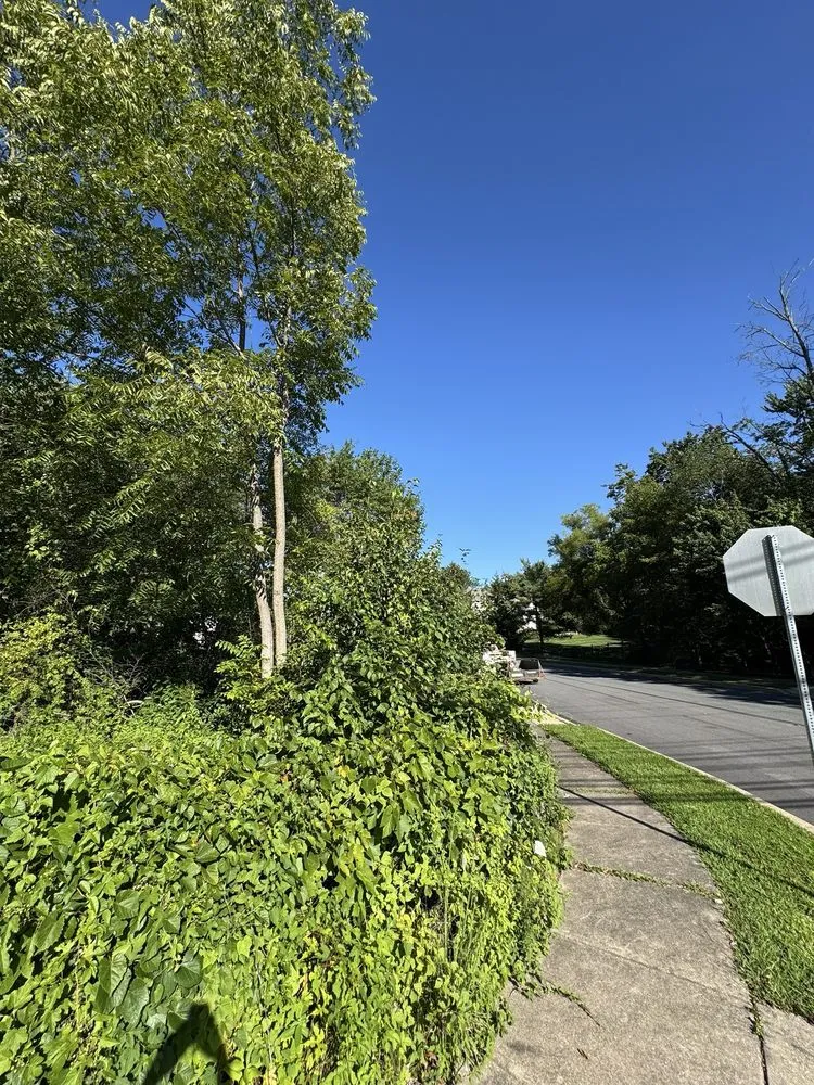 Custom garden landscaping in Pottstown, PA - C & L Landscapes And Construction