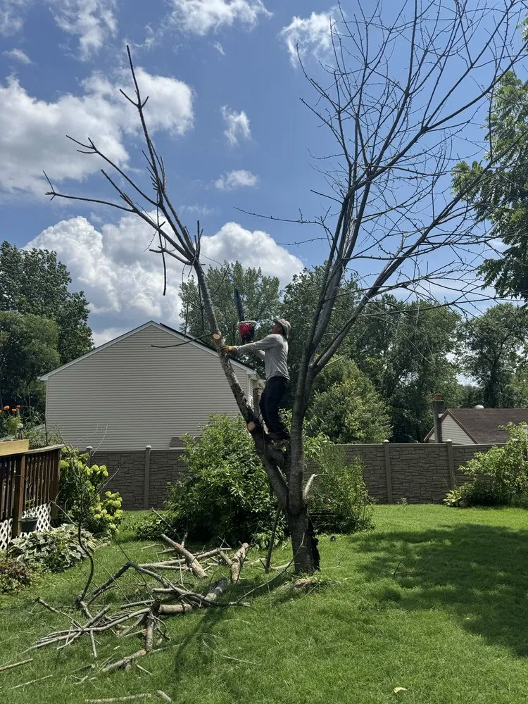 Expert lawn mowing service in Pottstown, PA - C & L Landscapes And Construction