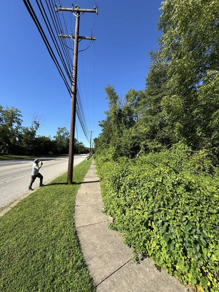 Custom yard cleanup service in Pottstown, PA - C & L Landscapes And Construction