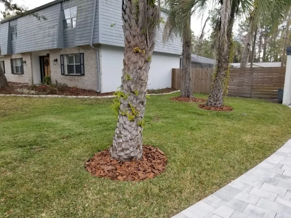 Local landscape installation for residential properties in Gainesville, FL by C & L Lawn Care Service