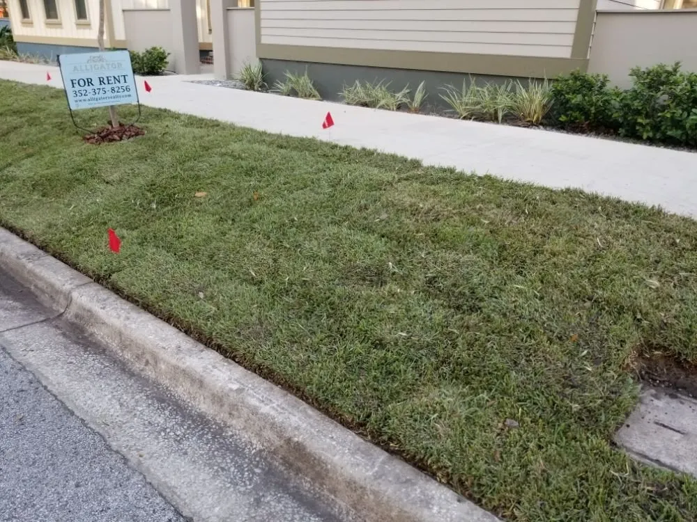 Top-rated landscaping services with custom design in Gainesville, FL by C & L Lawn Care Service