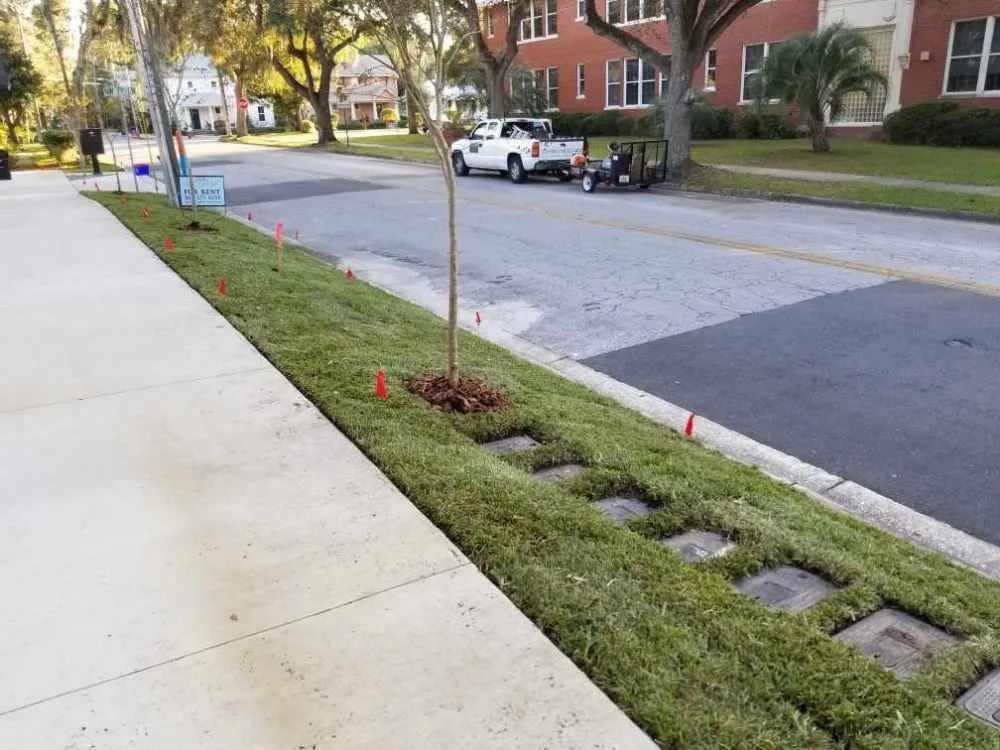 Affordable lawn care service in Gainesville, FL - C & L Lawn Care Service