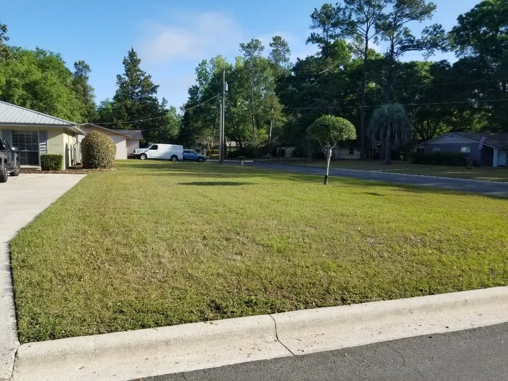 Custom yard maintenance experts serving Gainesville, FL - C & L Lawn Care Service